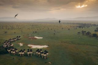 Salt Lick Safari Lodge - Tsavo - 6
