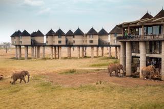 Salt Lick Safari Lodge - Tsavo - 1