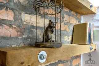 New loft-style house in city center - Odessa - 6