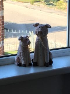 Sfeervol 't Rustpunt - 7