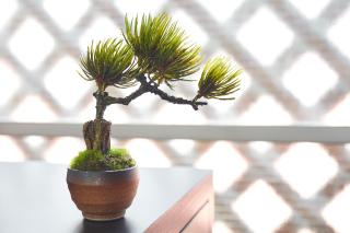Villa Shibuya - Tokyo - 3