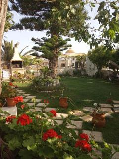 GARDEN - Anissaras - 2
