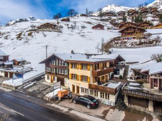 Apartment Strassscheuer 3.5 - GriwaRent AG - Grindelwald - 8