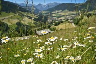 Haus Dorferstuck - Alpbach - 9