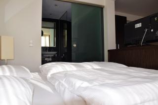 City Hotel Dresden Radebeul - Radebeul - 3