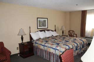 Mansion View Inn & Suites - Springfield - 6