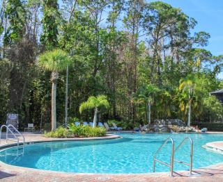 Parkway International Resort - Orlando - 0