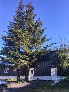 The Vue B&B - 6