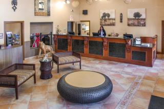 Parkway International Resort - Orlando - 2