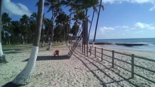 Carneiros Beach Resort - Apto 214D - Tamandaré - 2