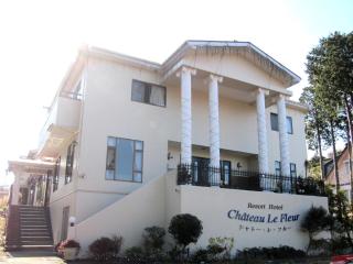 Chateau Le Fleur - Ito - 9