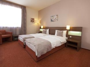 RIN Airport Hotel - 4