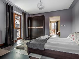 Villa Magnat SPA, JACUZZI, SAUNA, TĘŻNIA SOLANKOWA - Białka Tatrzańska - 5