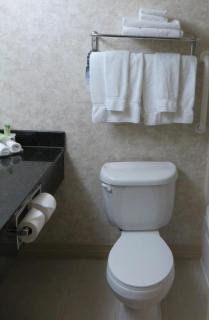Holiday Inn Express Hotel & Suites Chaffee - Jacksonville West by IHG - Jacksonville - 9