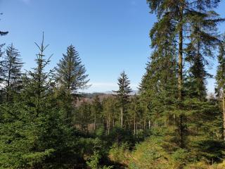 Newland Valley Log Cabins - Ulverston - 4