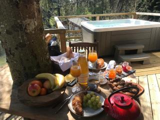 Les Cabanes de Koad'dour - séjour SPA dans les arbres - Les Portes du Coglais - 8