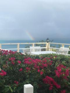 Ocean View Villas - Jost Van Dyke - 2