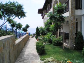 Top Complex - 1