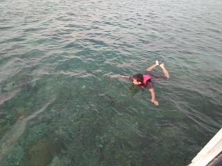 Setia Homestay - Îles Karimunjawa - 8