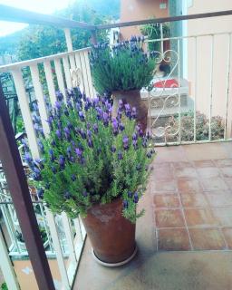 I Tredici Casali - 2