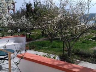 Holiday home in Starigrad with balcony - Starigrad-Paklenica (Ortopula) - 7