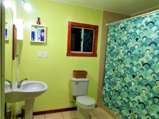 Cabaña Calcurrupe - Lago Ranco - 1