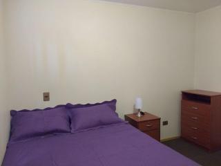 Cabaña Puerto Montt - Alerce - 6