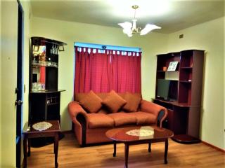 Cabaña Puerto Montt - Alerce - 9