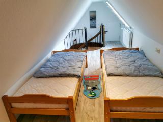 Haus-Deichläufer - 3