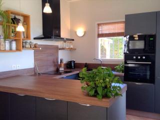 Lush villa with private pool - Bagnols-en-Forêt - 1