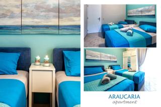 Araucaria King - 7