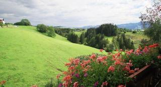 Haus Bergblick - Oy-Mittelberg - 7