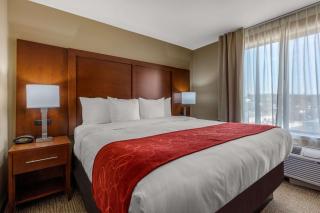 Comfort Suites Pelham Hoover I-65 - Pelham - 8