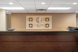 Comfort Inn Pearl-Jackson - Pearl - 9