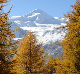 Haus Holiday - Saas-Fee - 1