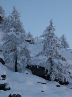 Haus Holiday - Saas-Fee - 6