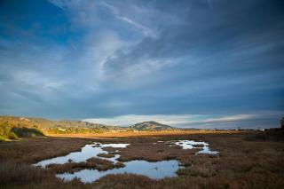 Holiday Inn Express & Suites Carpinteria by IHG - Carpinteria - 3