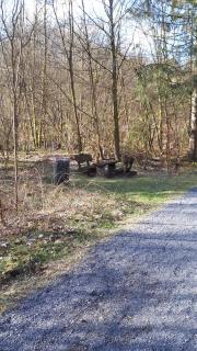 Ferienwohnungen! Kleine Bungalows mit Terrasse! - Stockhausen-Illfurth - 5