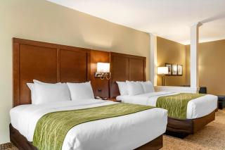 Comfort Suites San Antonio Ft Sam Houston-SAMMC Area - San Antonio - 6