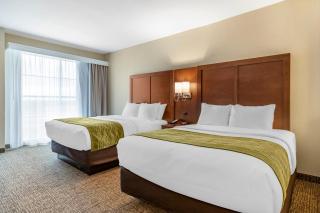 Comfort Suites San Antonio Ft Sam Houston-SAMMC Area - San Antonio - 4