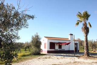 Monte Da Coelha AL - 6