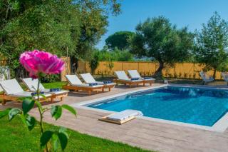 Zante Lagos holiday homes Treehouse and Villa - Vouyiáton - 3