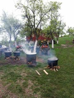 Pensiunea Gernik 100 - Gârnic - 1