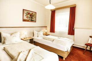 Kraners Alpenhof BIO Bed and Breakfast Pension - Weissensee - 2