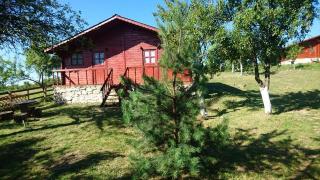 Pensiunea Gernik 100 - Gârnic - 9
