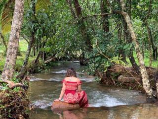 Abad Brookside Wayanad - Vythiri - 6