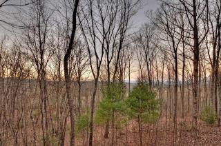 Just Like Heaven - Blairsville - 4
