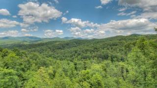 High Expectations - Mineral Bluff - 5
