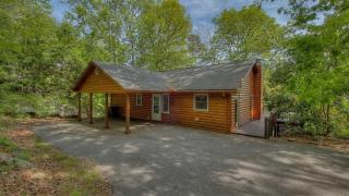 Pure Pleasure on the Lake - Blairsville - 9