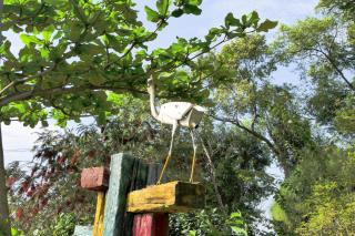 Ying Tian Ye Homestay - 4